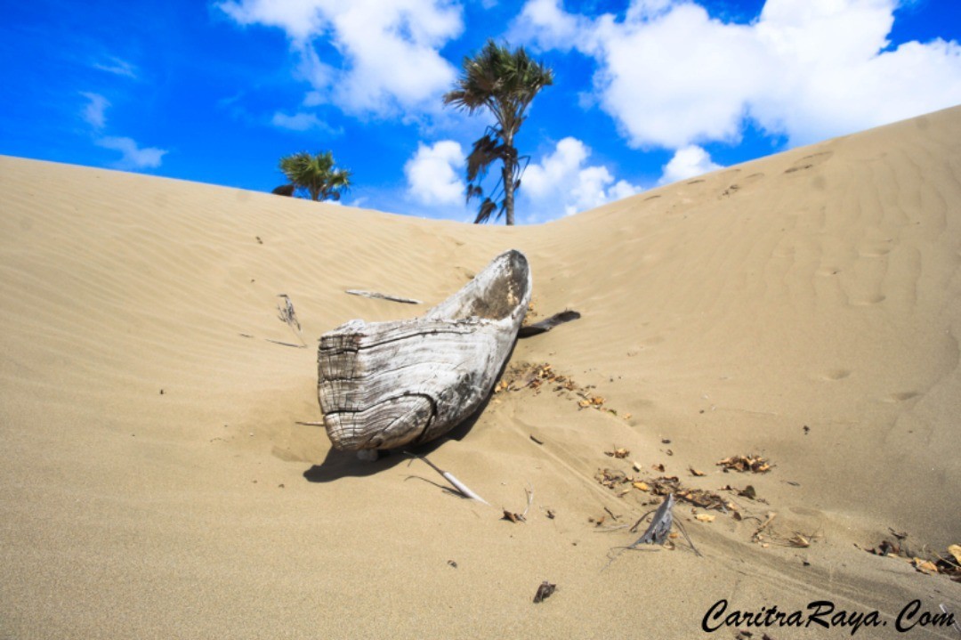 Terdampar.
Tanah Surga ini dulunya tak berpenghuni.
Kemudian nenek moyang kita datang dan menetap.
.
Ya, pada dasarnya kita semua adalah pendatang.
Hanya waktu kedatangannya saja yang berbeda
.
Selamat datang di Indonesia!
.
www.caritraraya.com/ntt
.
#caritraraya #indonesiajuara #indonesia #indonesiaraya #ntt #kupang #indonesiatimur #indonesiaindah #indonesiaparadise #surgaindonesia #indonesiatanahsurga #asiatraveller #backpacker #backpackerlife #couchsurfing #couchsurfingindonesia